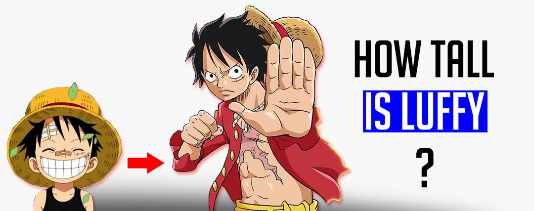 how tall is luffy